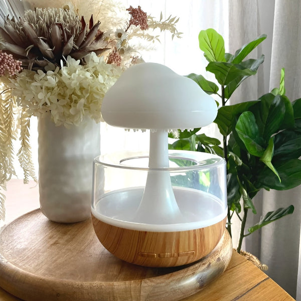 Rainfall Humidifier and Diffuser